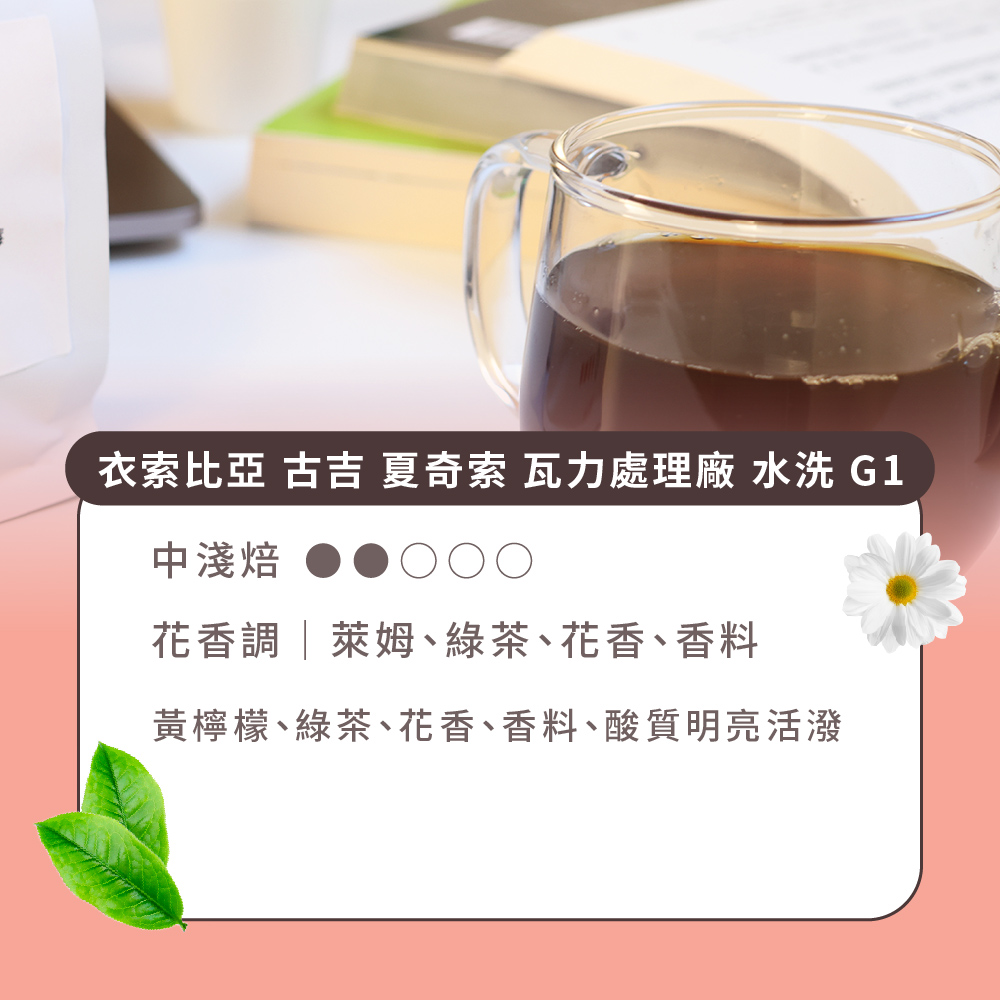 Buon Caffe 步昂咖啡 衣索比亞 古吉 夏奇索 瓦力