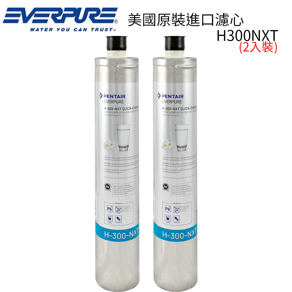 EVERPURE 美國原裝進口濾心(H300NXT 2入裝 