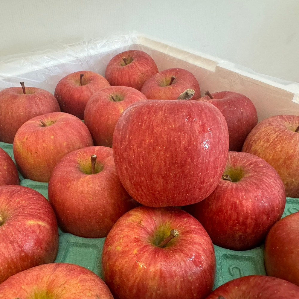 CB果物 日本青森縣產 蜜富士蘋果40顆 原裝箱11kg±1