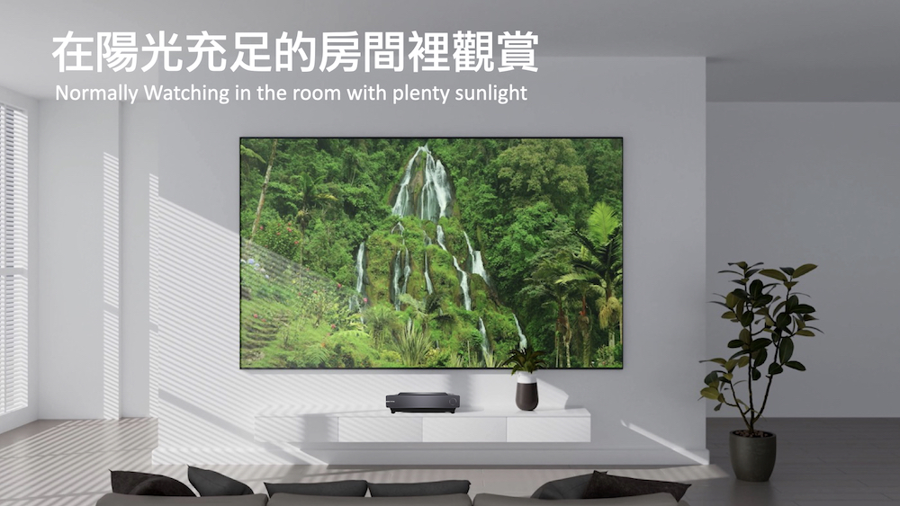 在陽光充足的房間裡觀賞
