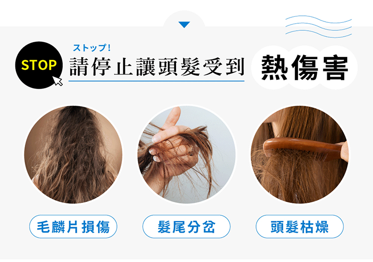 ä»y STOP è«åæ­¢è®é ­é«®åå° ç±å·å®³ æ¯éºçæå· é«®å°¾åå² é ­é«®æ¯ç¥ 