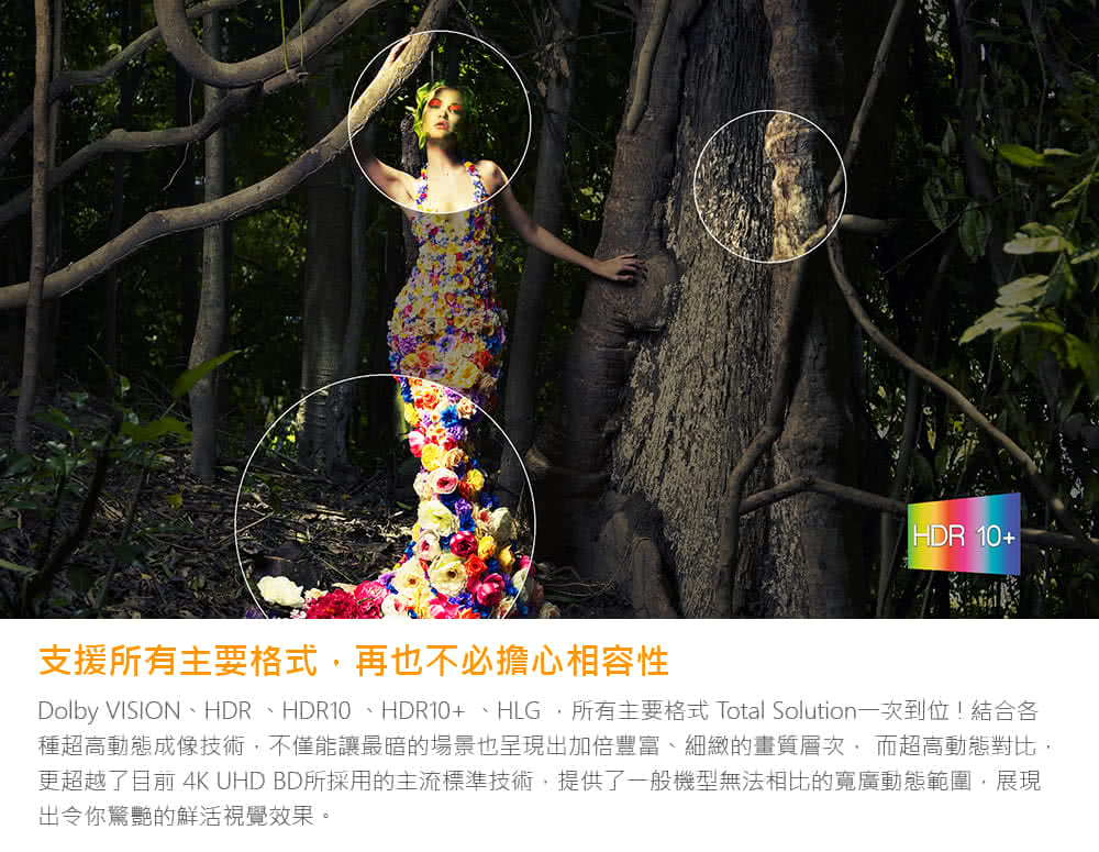 支援所有主要格式,再也不必擔心相容性 Dolby VISION、HDR、HDR10 、HDR10、HLG、所有主要格式 Total Solution一次到位結合各 種超高動態成像技術,不僅能讓最暗的場景也呈現出加倍豐富、細緻的畫質層次,而超高動態對比, 更超越了目前 4K UHD BD所採用的主流標準技術,提供了一般機型無法相比的寬廣動態範圍,展現 出令你驚艷的鮮活視覺效果。 