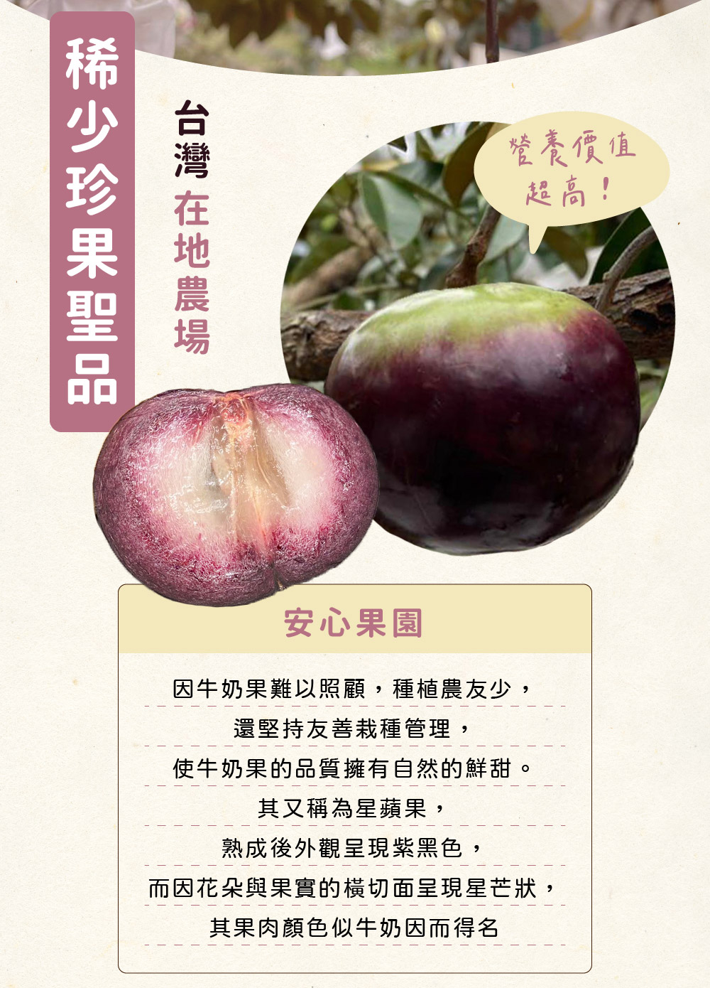 禾ME 紫晶牛奶果(5斤/一盒)評價推薦