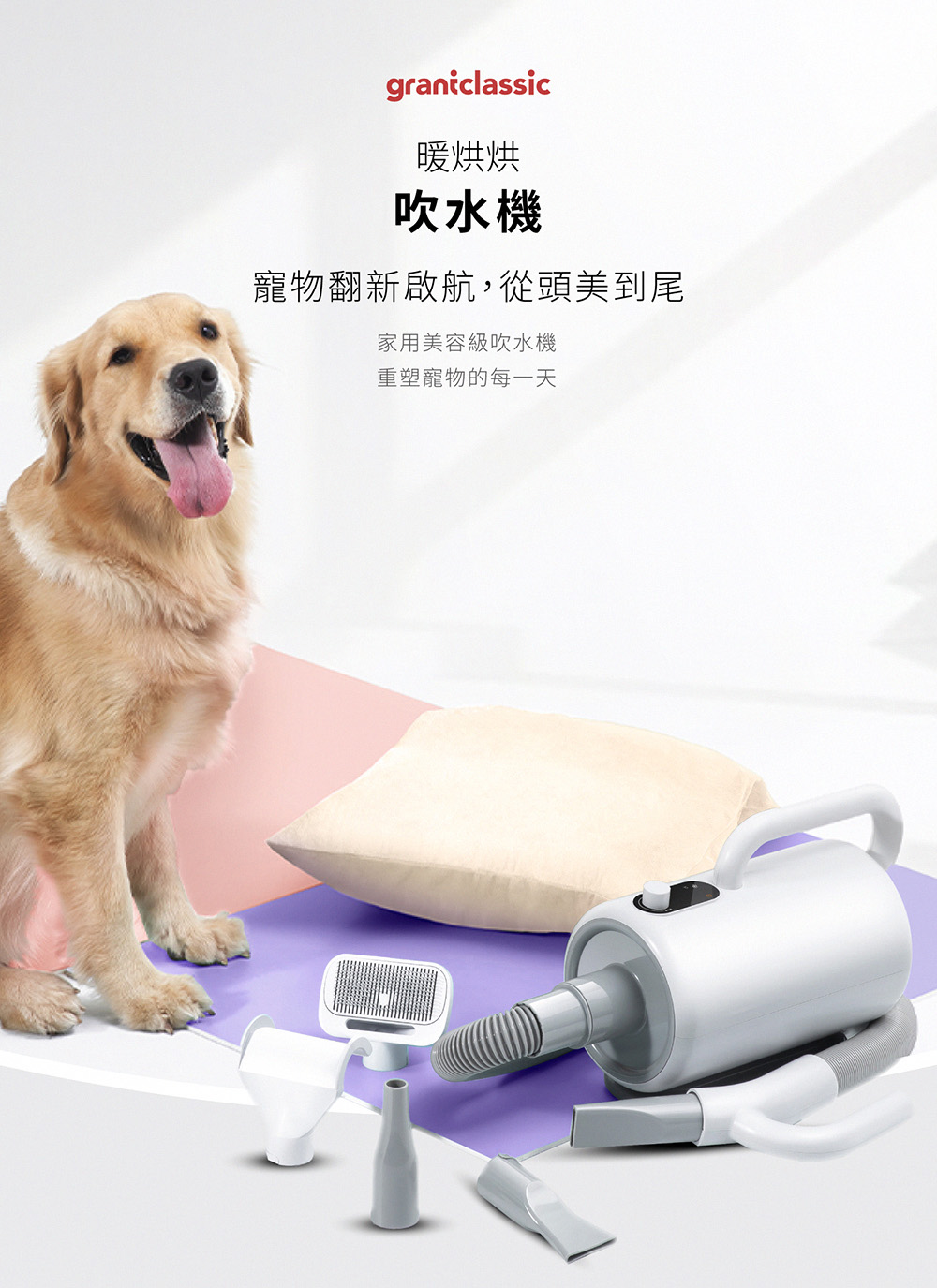 暖烘烘 吹水機 寵物翻新啟航,從頭美到尾 家用美容級吹水機 重塑寵物的每一天