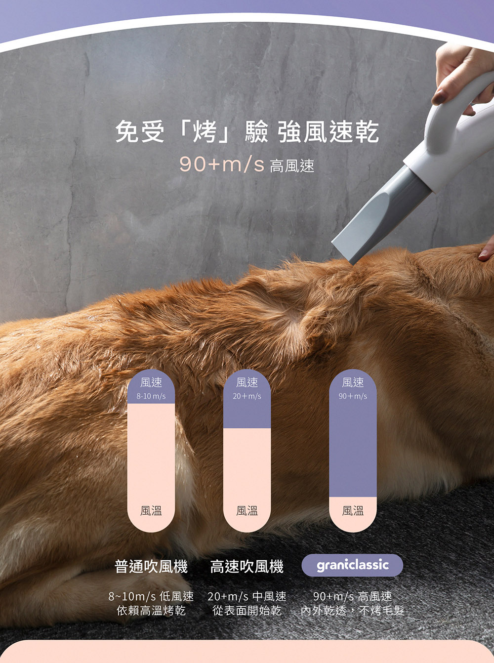 免受烤驗 強風速乾