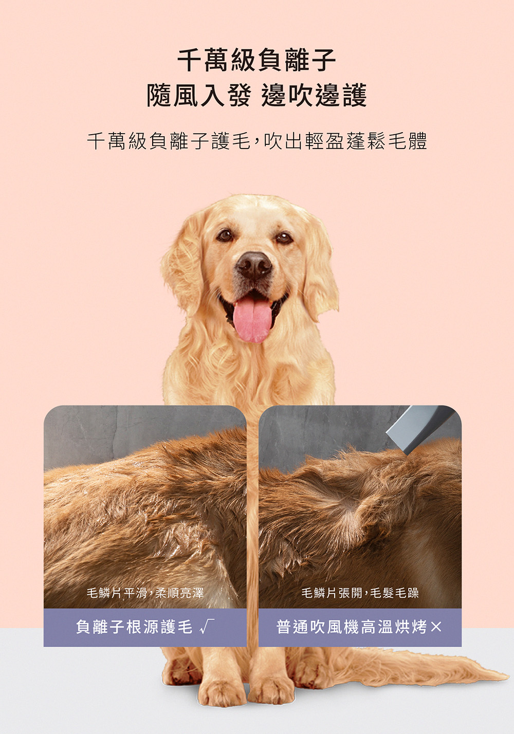 千萬級負離子護毛,吹出輕盈蓬鬆毛體