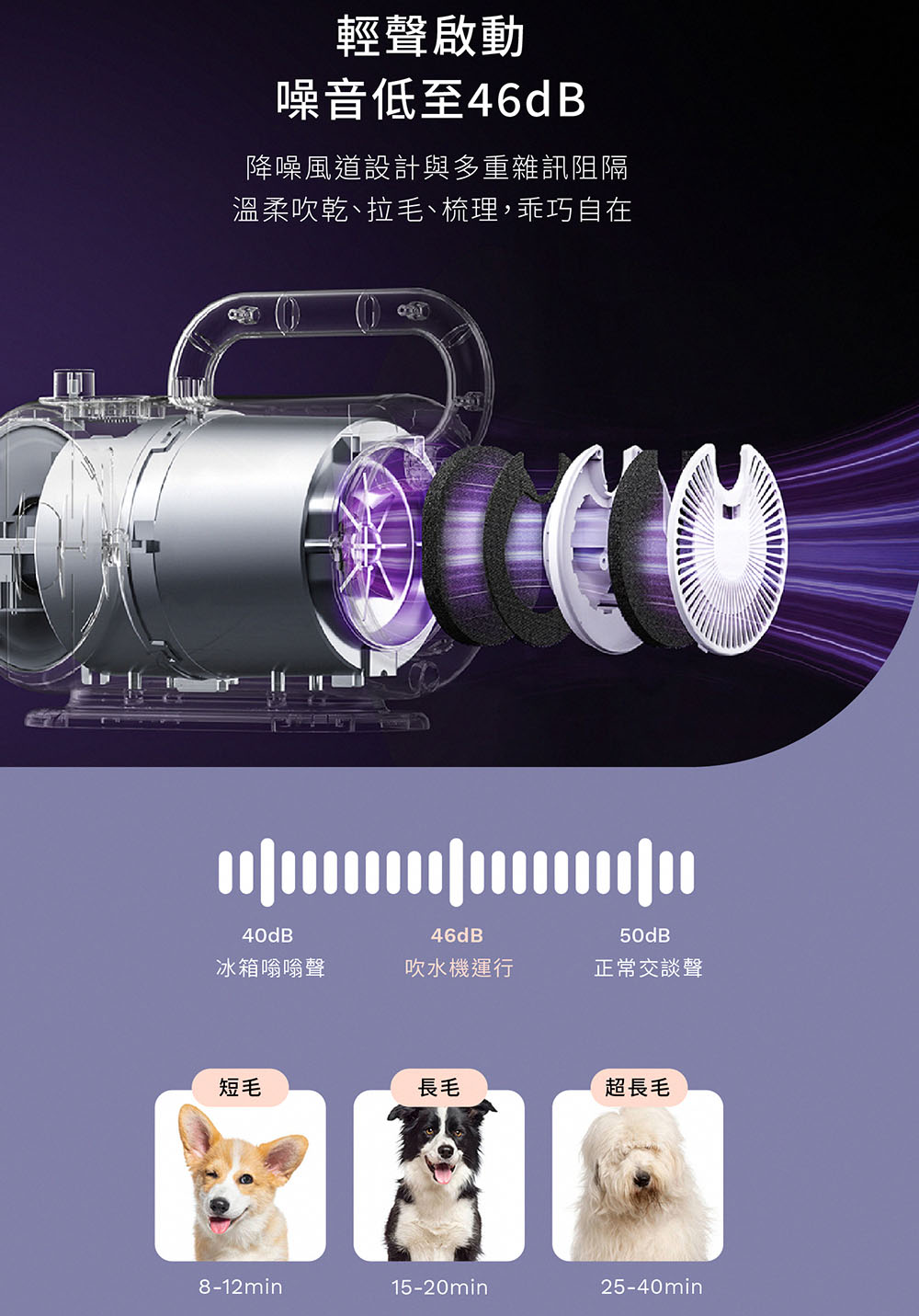 溫柔吹乾拉毛、梳理,乖巧自在