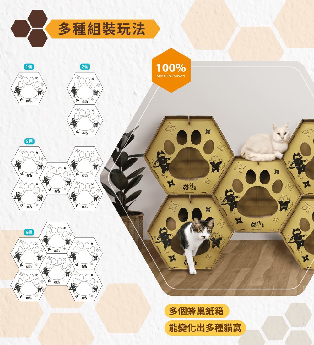 能變化出多種貓窩