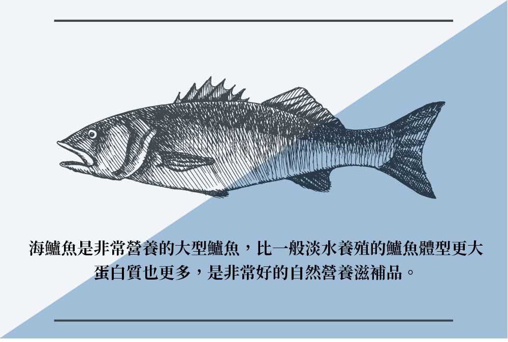 築地一番鮮 御品金目鱸魚片美饌8片組(200-300g/片)