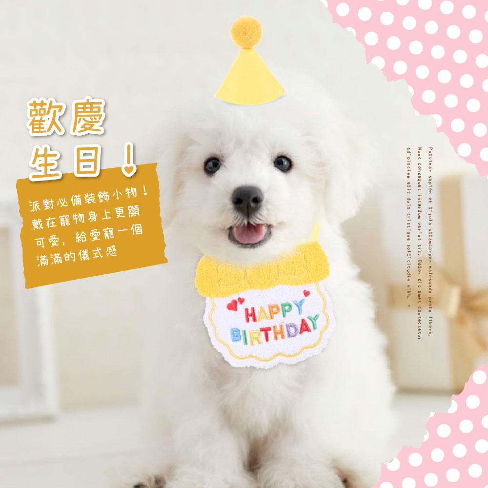 派對必備裝飾小物