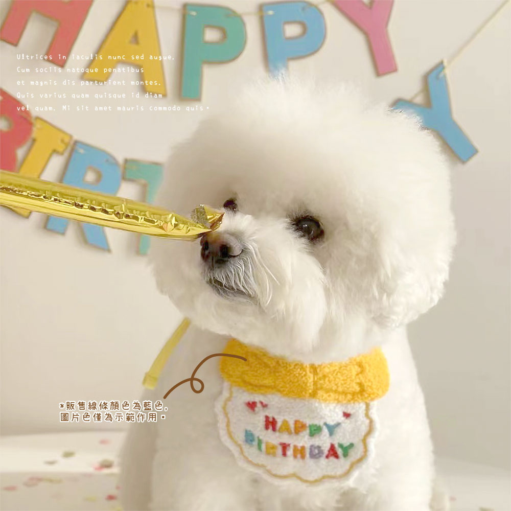 販售線條顏色為藍色, 圖片色僅為示範作用。 