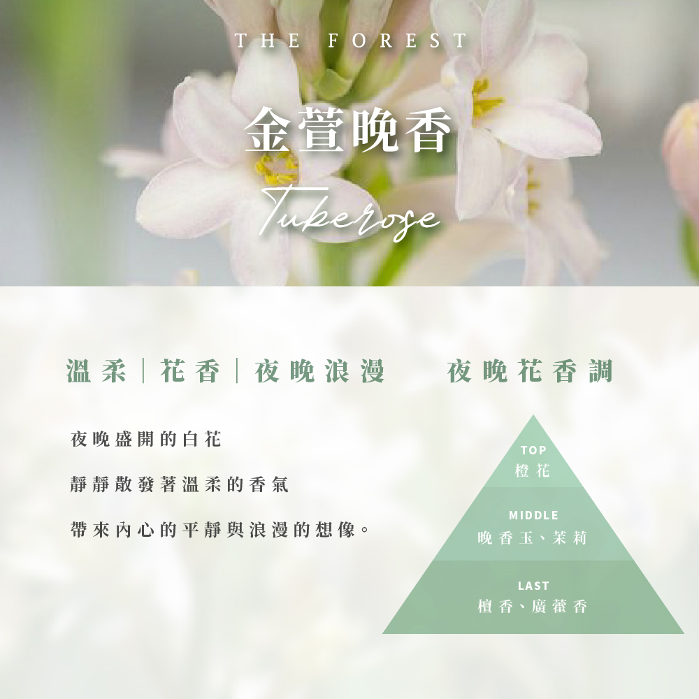 帶來內心的平靜與浪漫的想像。