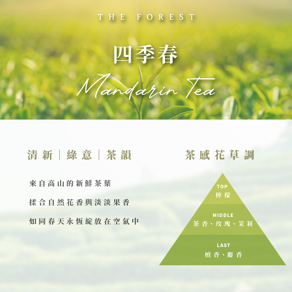如同春天永恆綻放在空氣中