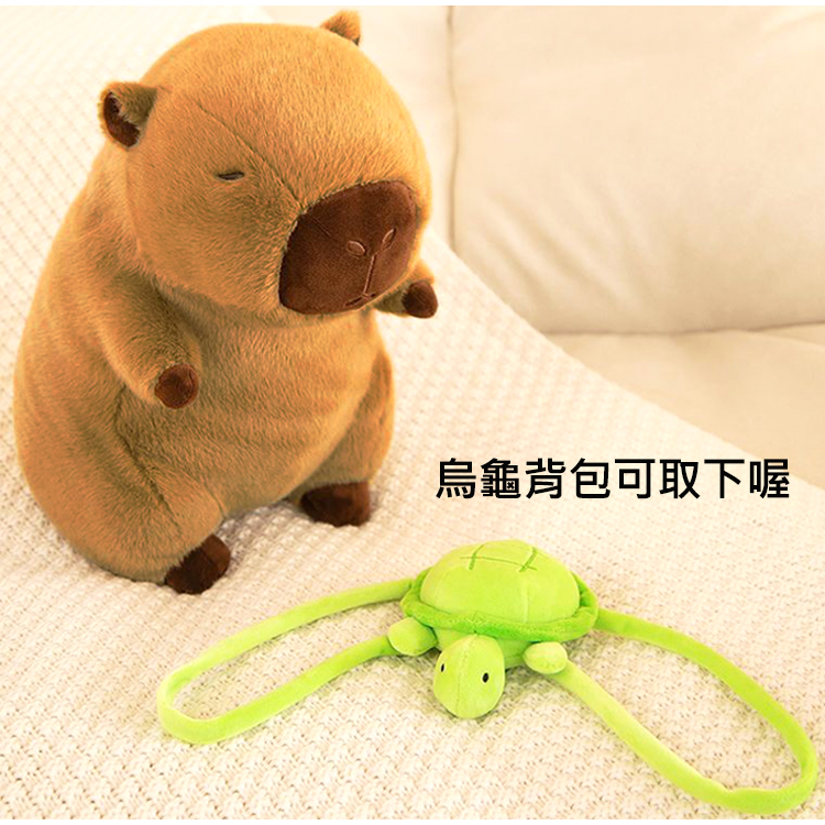 烏龜背包可取下喔 