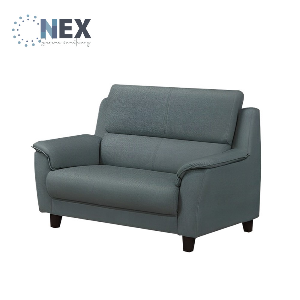 NEX 簡約時尚 雙人座/兩人座 耐抓皮 拿鐵深灰色沙發(皮