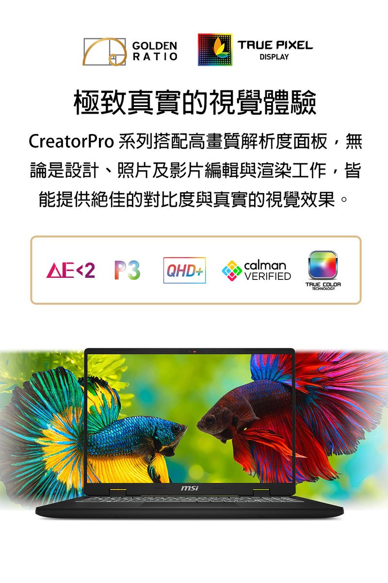 極致真實的視覺體驗 CreatorPro 系列搭配高畫質解析度面板,無 論是設計、照片及影片編輯與渲染工作,皆 能提供絕佳的對比度與真實的視覺效果。 