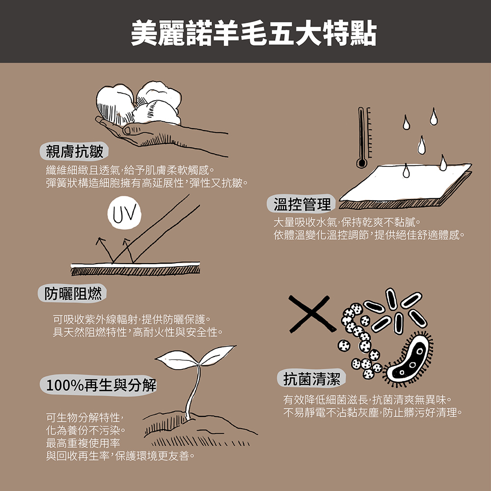 FITS light hiker中筒 輕避震 健行 登山 羊