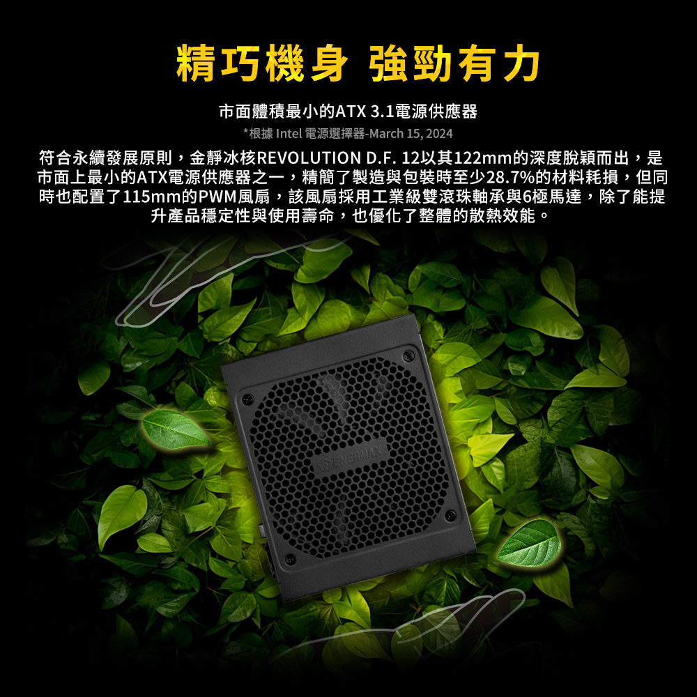 ENERMAX 安耐美 金靜冰核 REVOLUTION D.