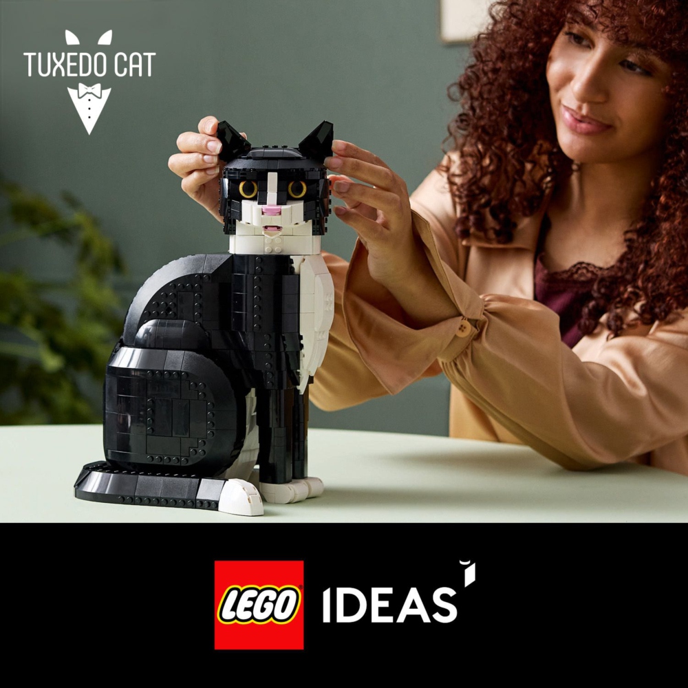 LEGO 樂高 Ideas 21349 賓士貓(動物模型 居