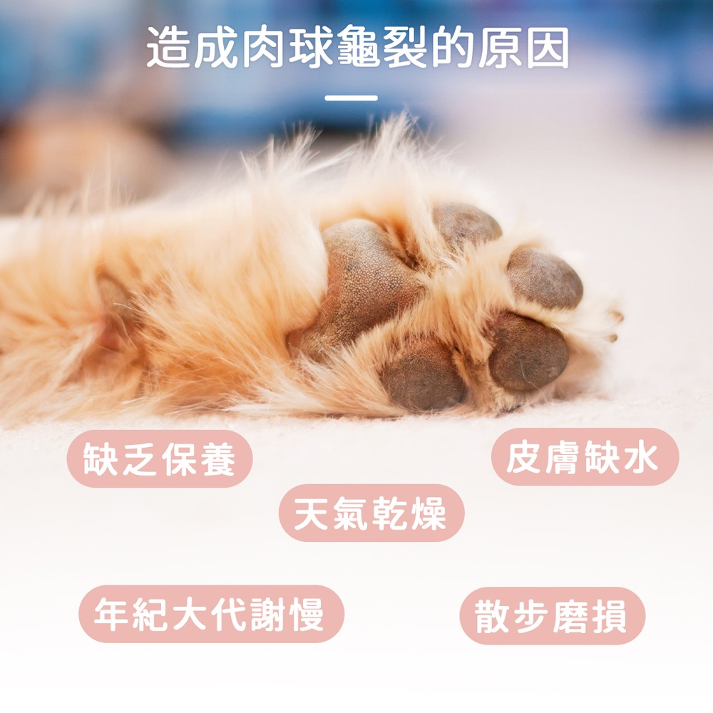 造成肉球龜裂的原因