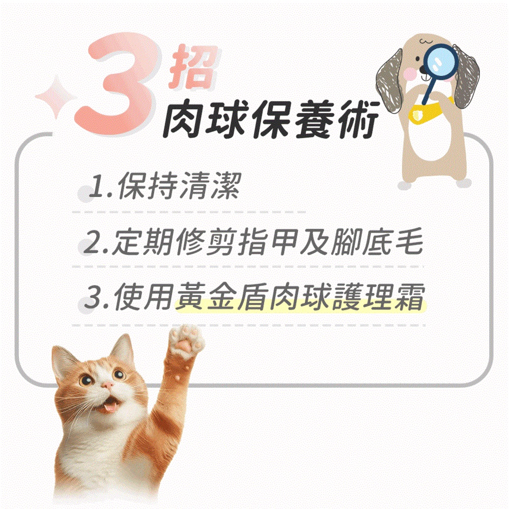 3招 肉球保養術 1.保持清潔 2.定期修剪指甲及腳底毛 3.使用黃金盾肉球護理霜 