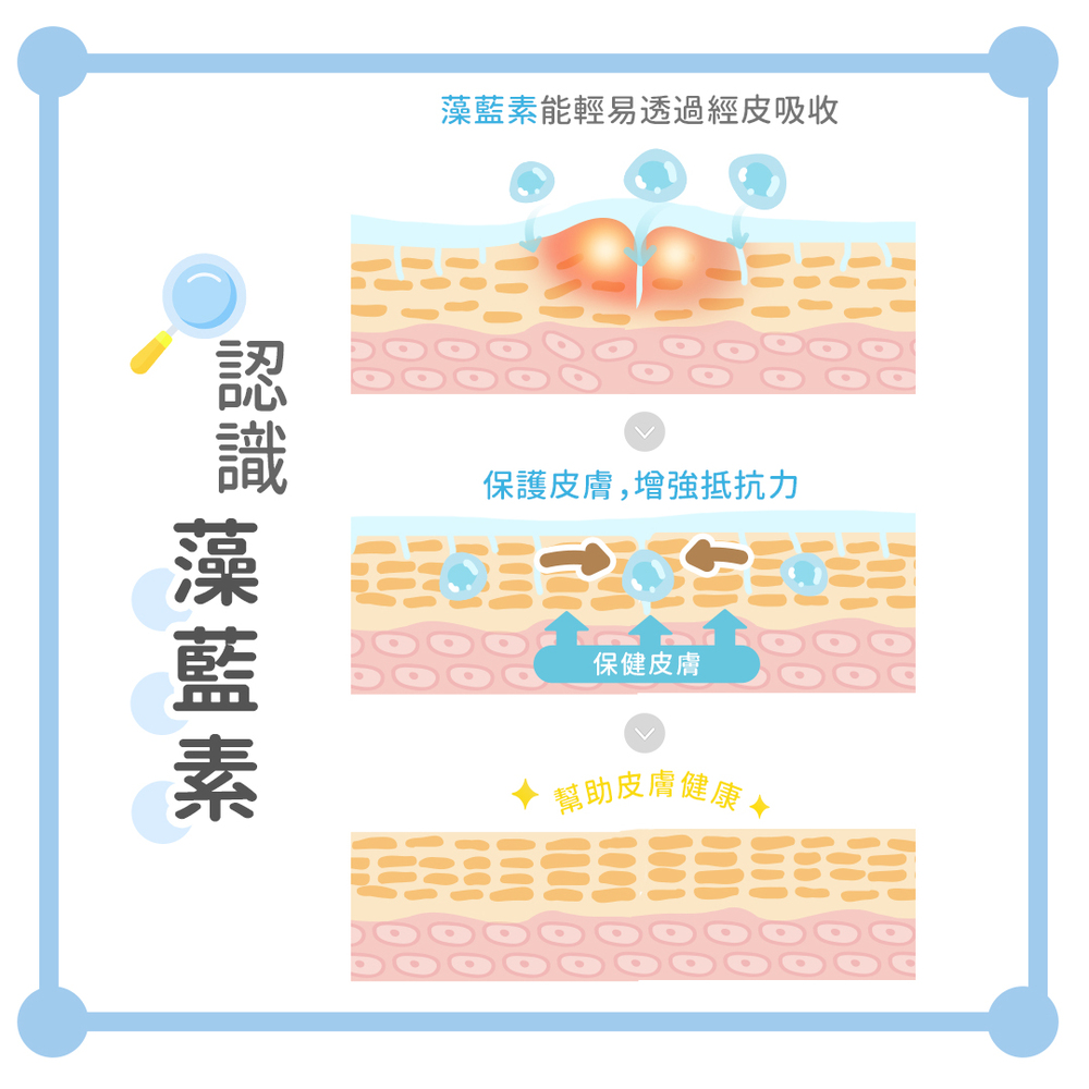 藻藍素能輕易透過經皮吸收