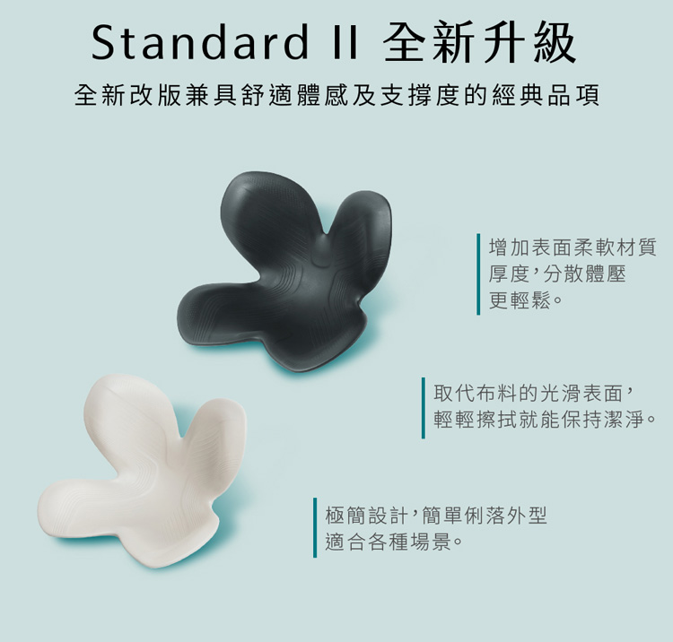 Style Standard 健康護脊椅墊 輕便款 薰衣草紫