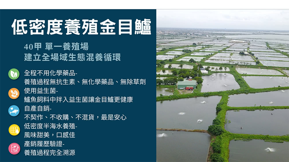 邱家兄弟 金目鱸魚精1盒+日本大和黑鑽蜆錠1盒-常溫折扣推薦