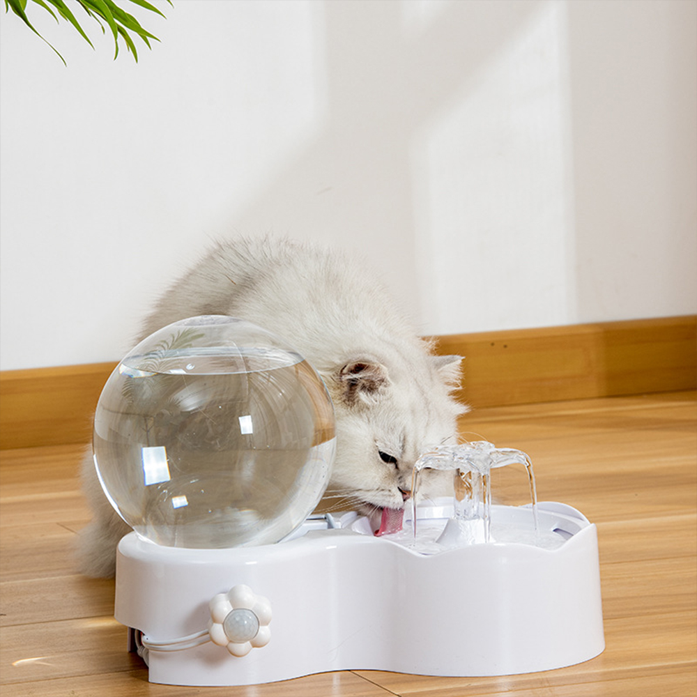 貓咪自動循環飲水器(貓咪飲水機 寵物飲水機 餵水器 寵物飲水