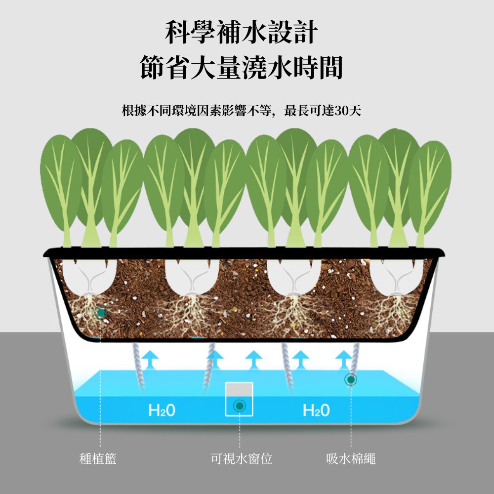 根據不同環境因素影響不等,最長可達30天