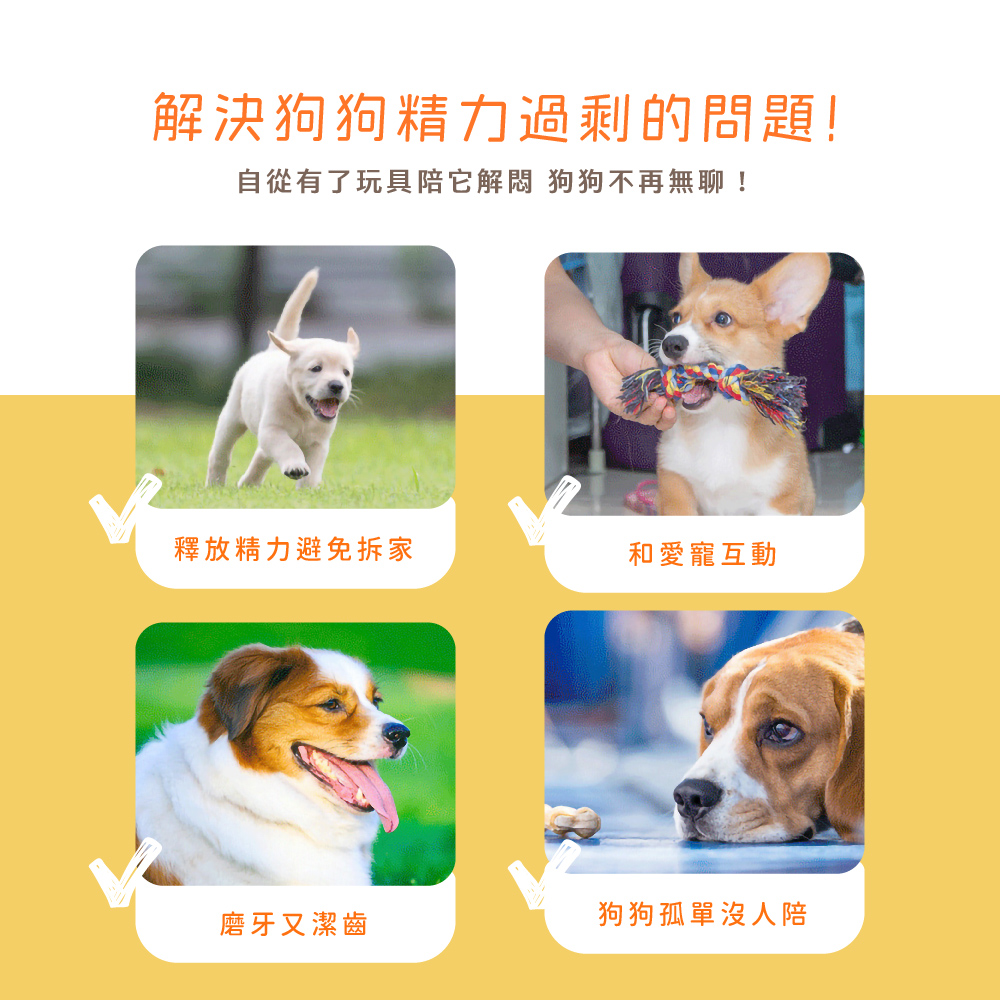 自從有了玩具陪它解悶 狗狗不再無聊