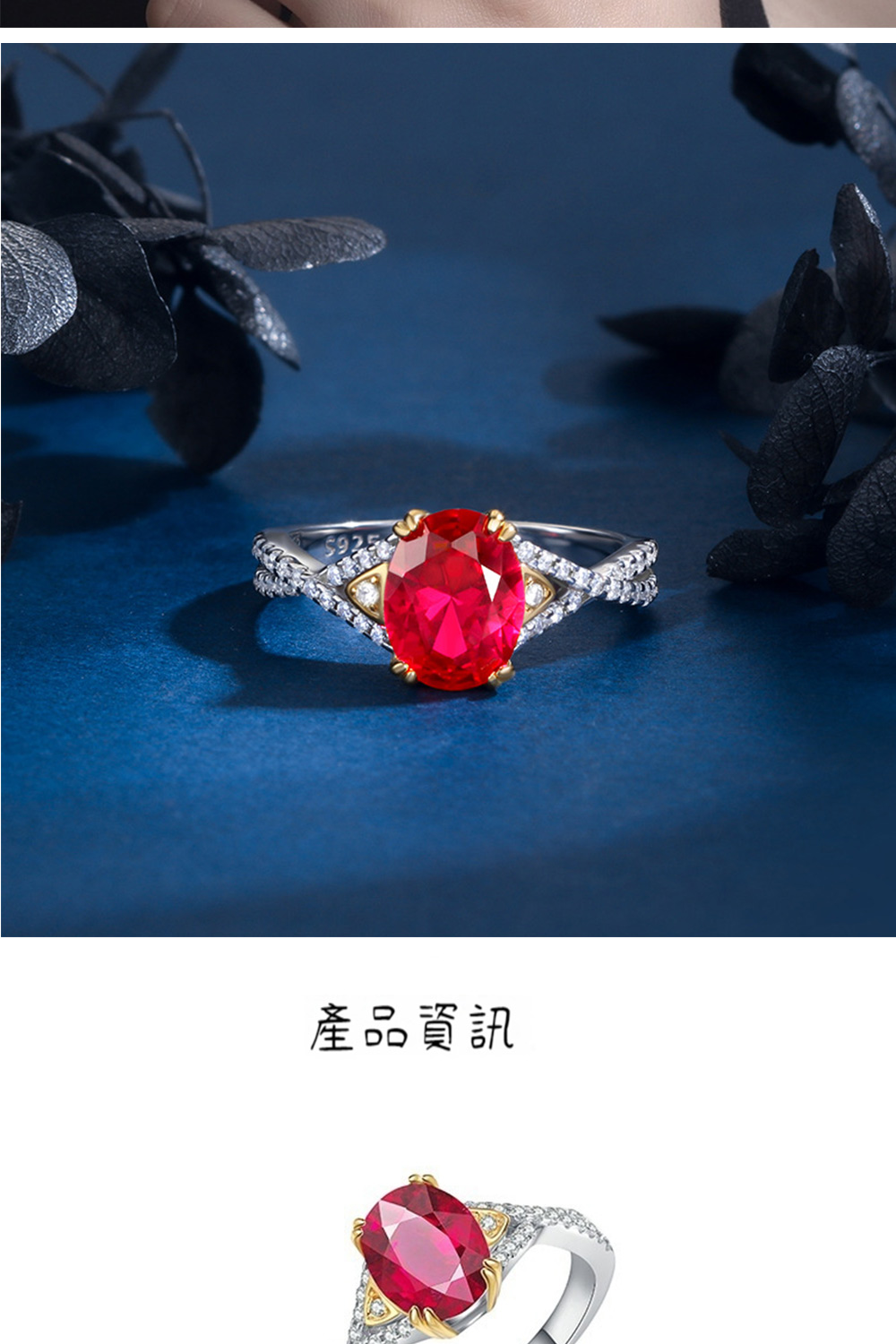 產品資訊 