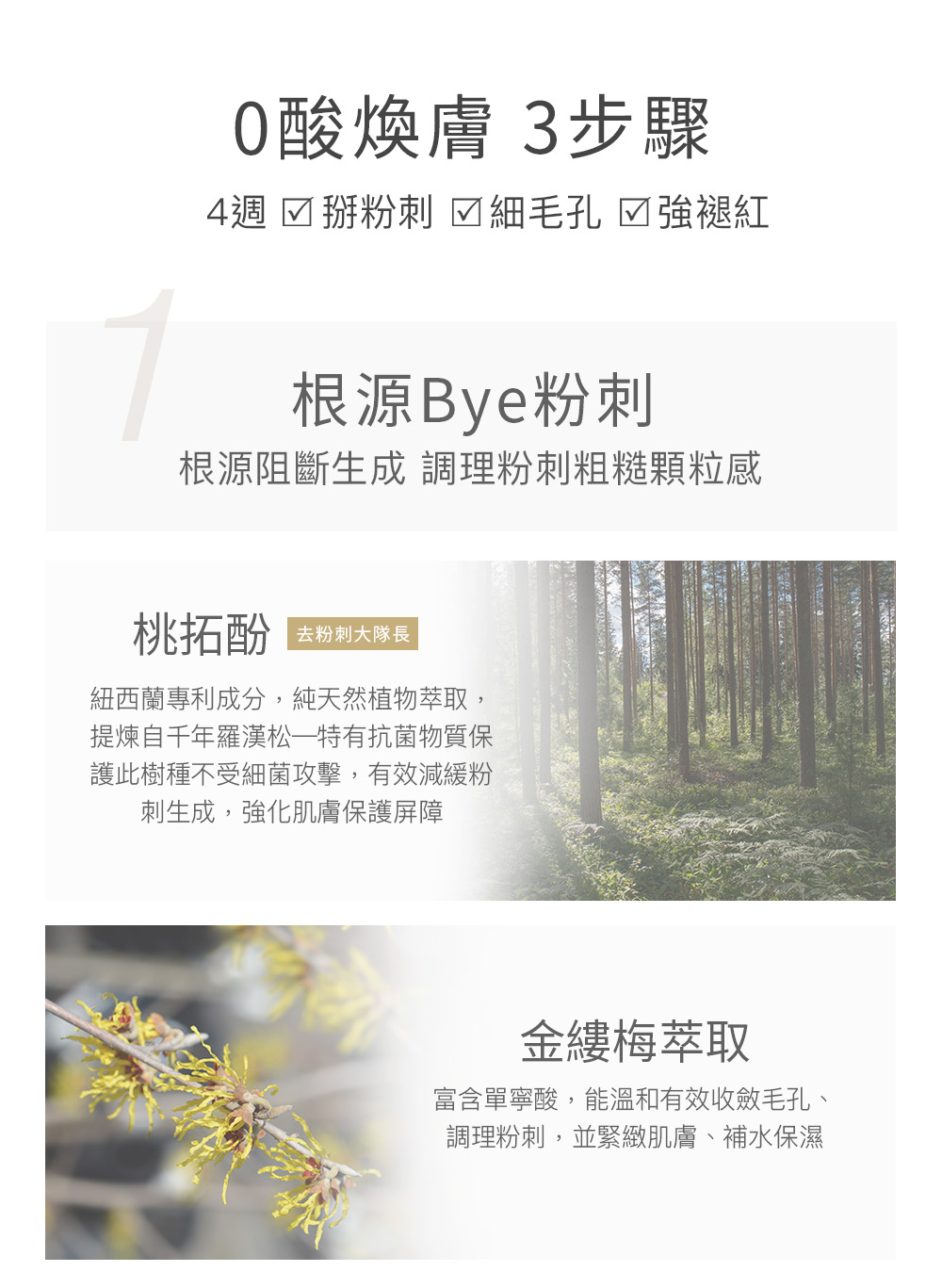 根源阻斷生成 調理粉刺粗糙顆粒感