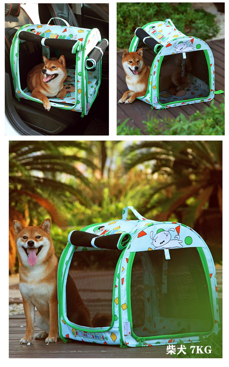 柴犬 7KG 