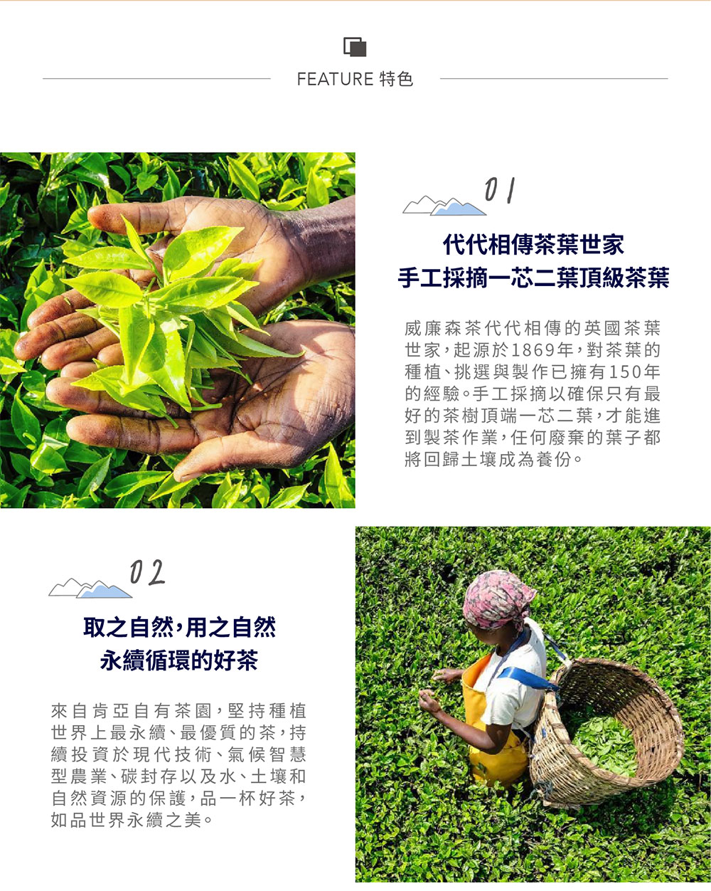 世家,起源於1869年,對茶葉的