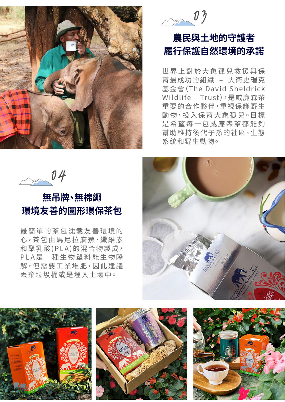 基金會The David Sheldrick