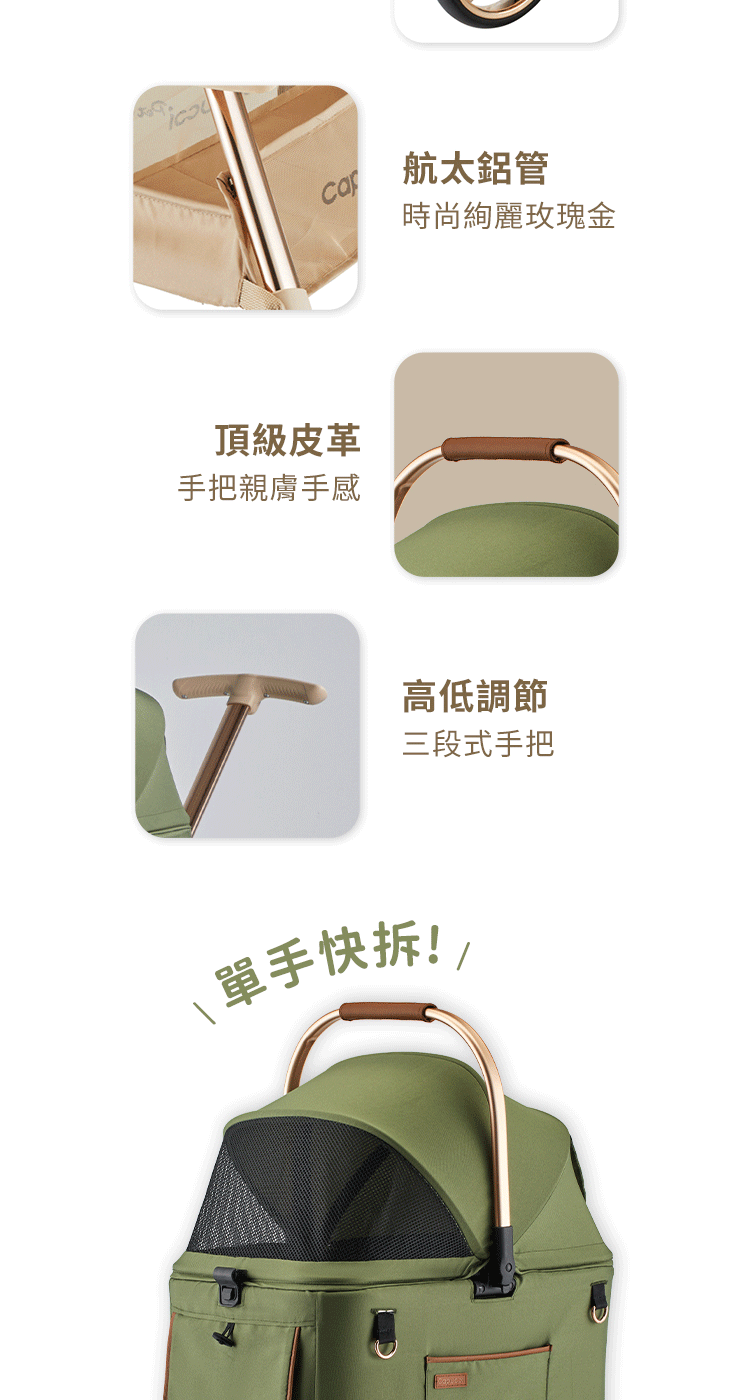 時尚絢麗玫瑰金