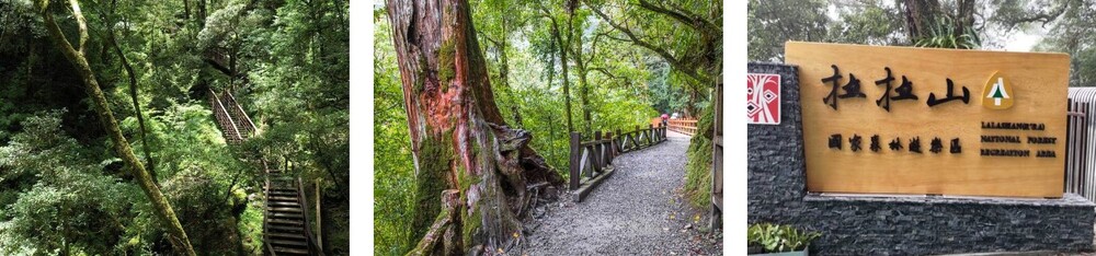 吉航旅遊 來喫桃拉-水果公主樂桃桃五星台北萬豪輕旅行二日好評