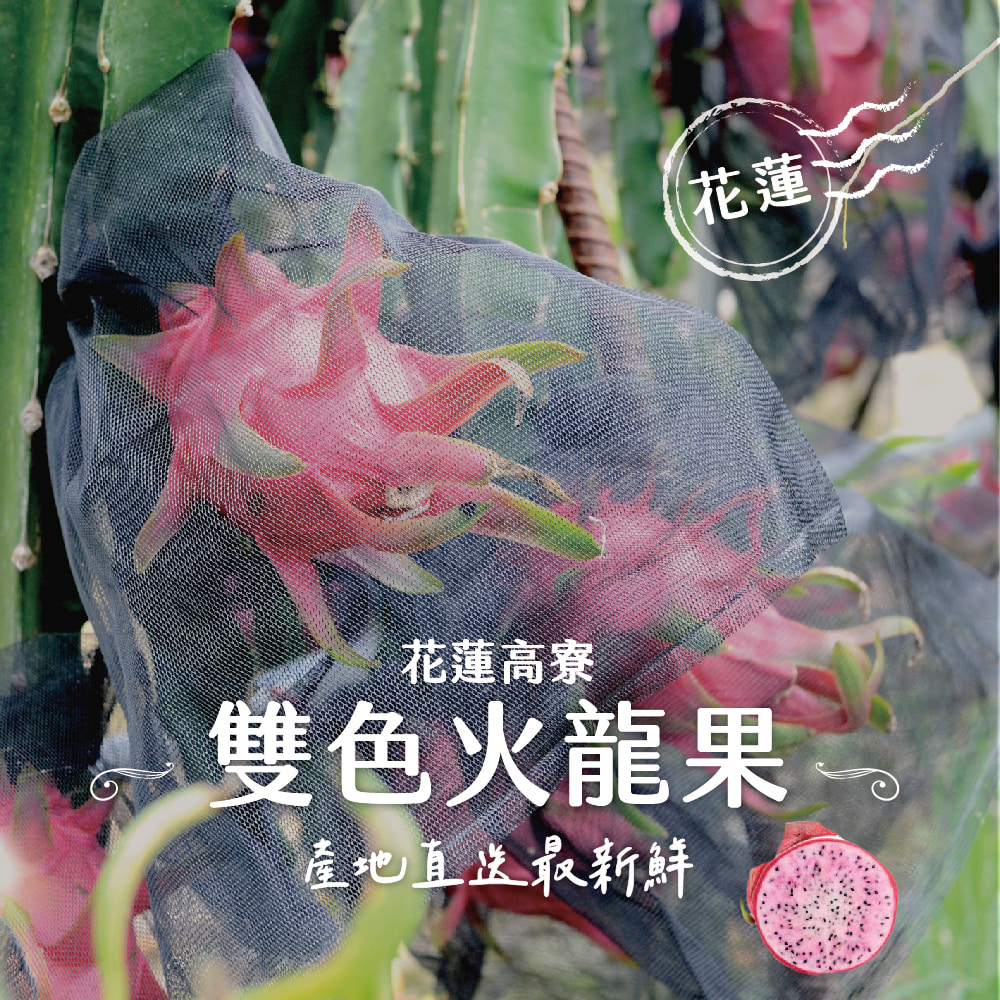 禾鴻 花蓮高寮雙色火龍果10斤x1箱(12粒裝/盒) 推薦