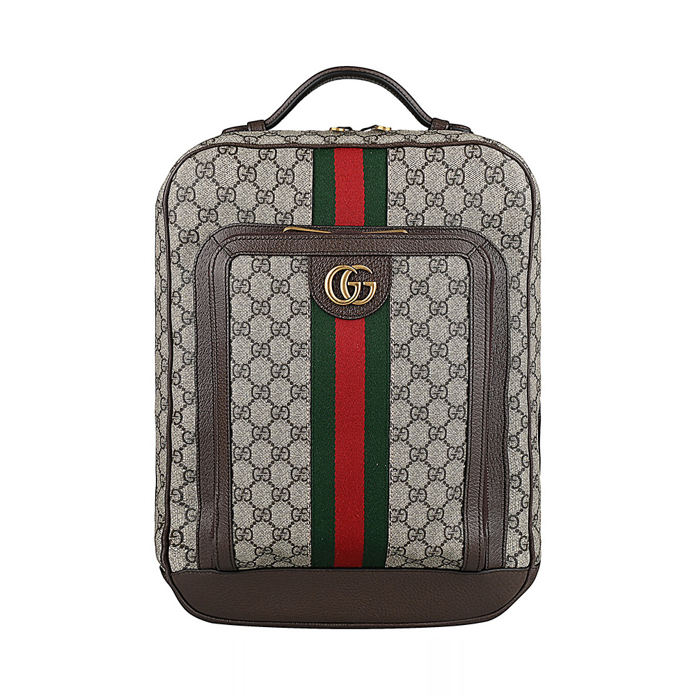 GUCCI 古馳 GUCCI OPHIDIA 簍空立體雙G 