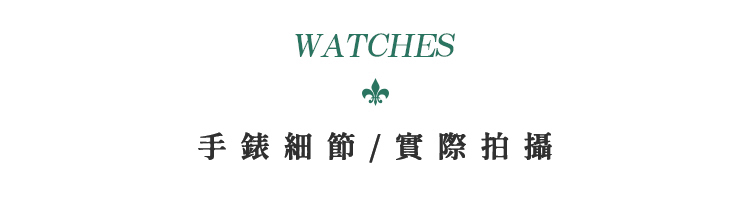 æé¶ç´°ç¯  å¯¦éææ 