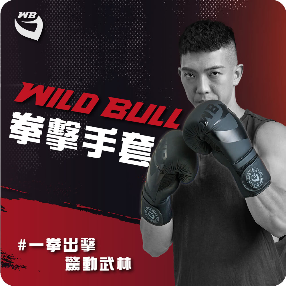 WILDBULL 拳擊手套(WILDBULL 拳擊手 格鬥 