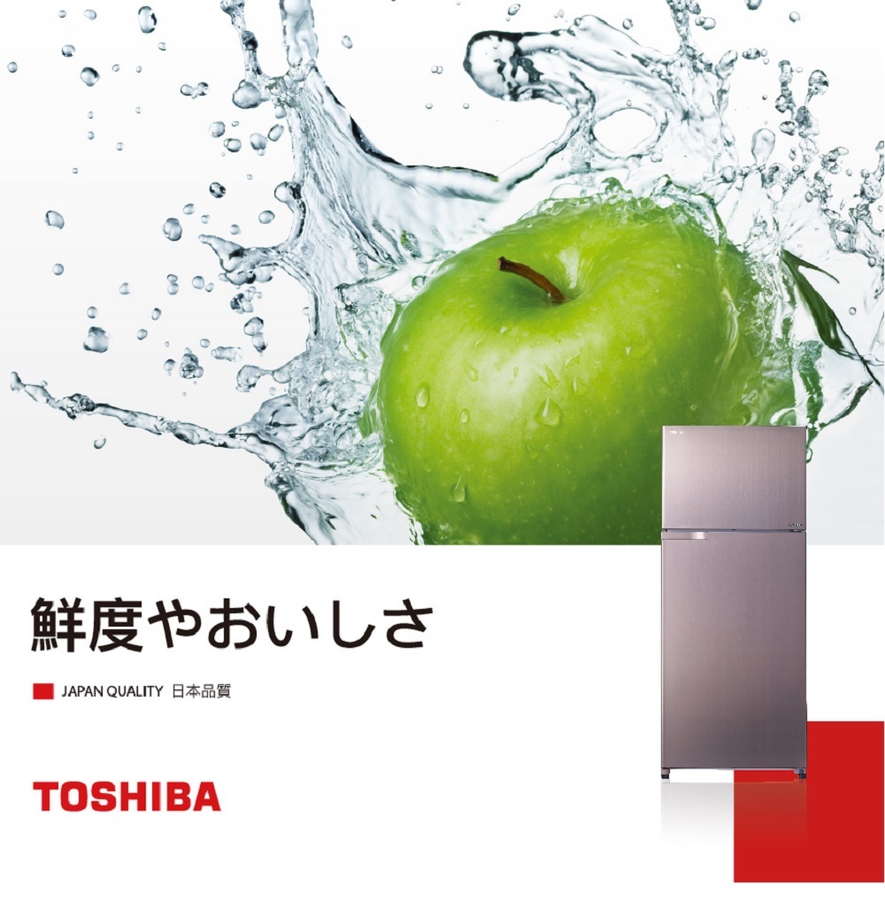 TOSHIBA 東芝 510公升一級能效變頻超靜音雙門冰箱(