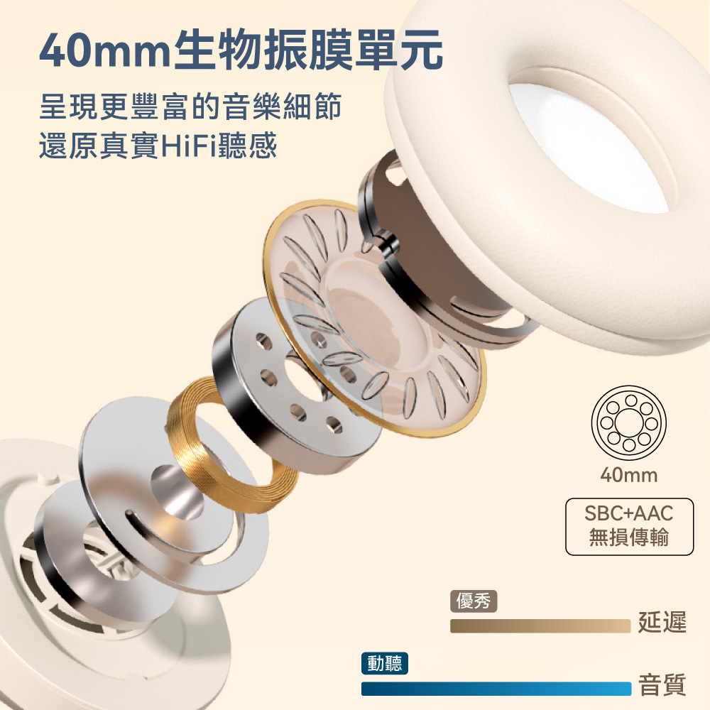 40mmçç©æ¯èå®å