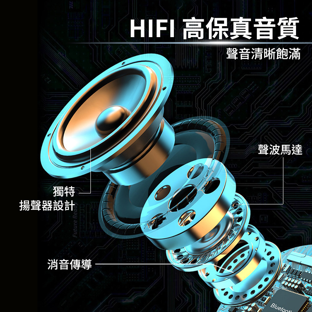 HIFI 高保真音質