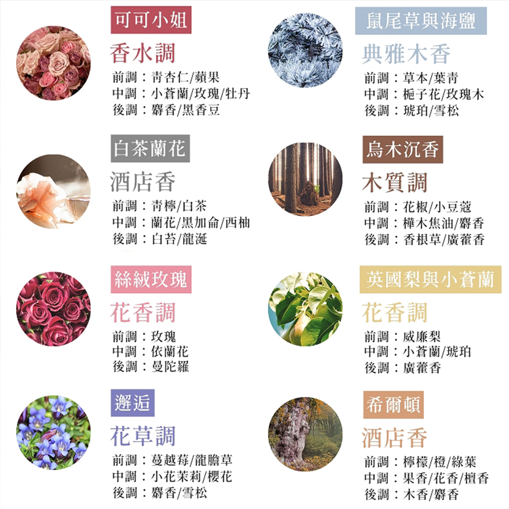 中調小蒼蘭玫瑰牡丹