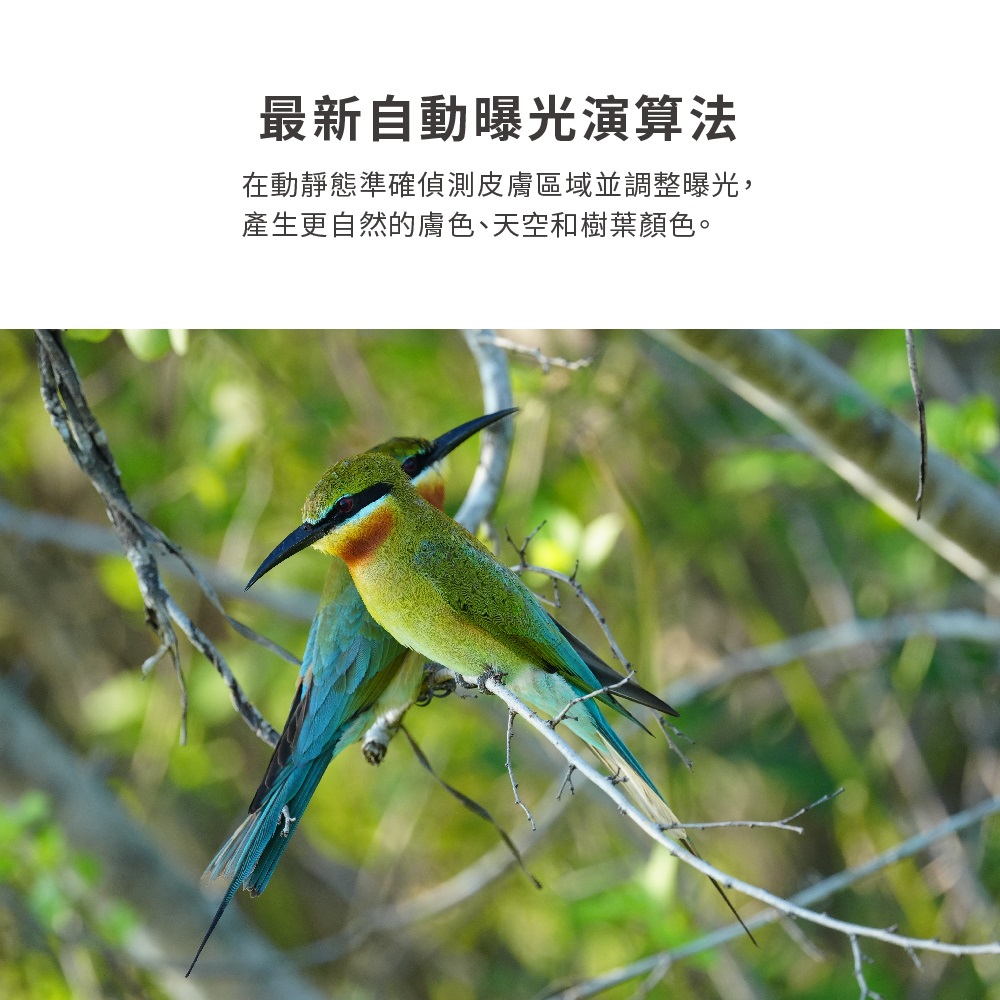 最新自動曝光演算法 在動靜態準確偵測皮膚區域並調整曝光, 產生更自然的膚色、天空和樹葉顏色。 