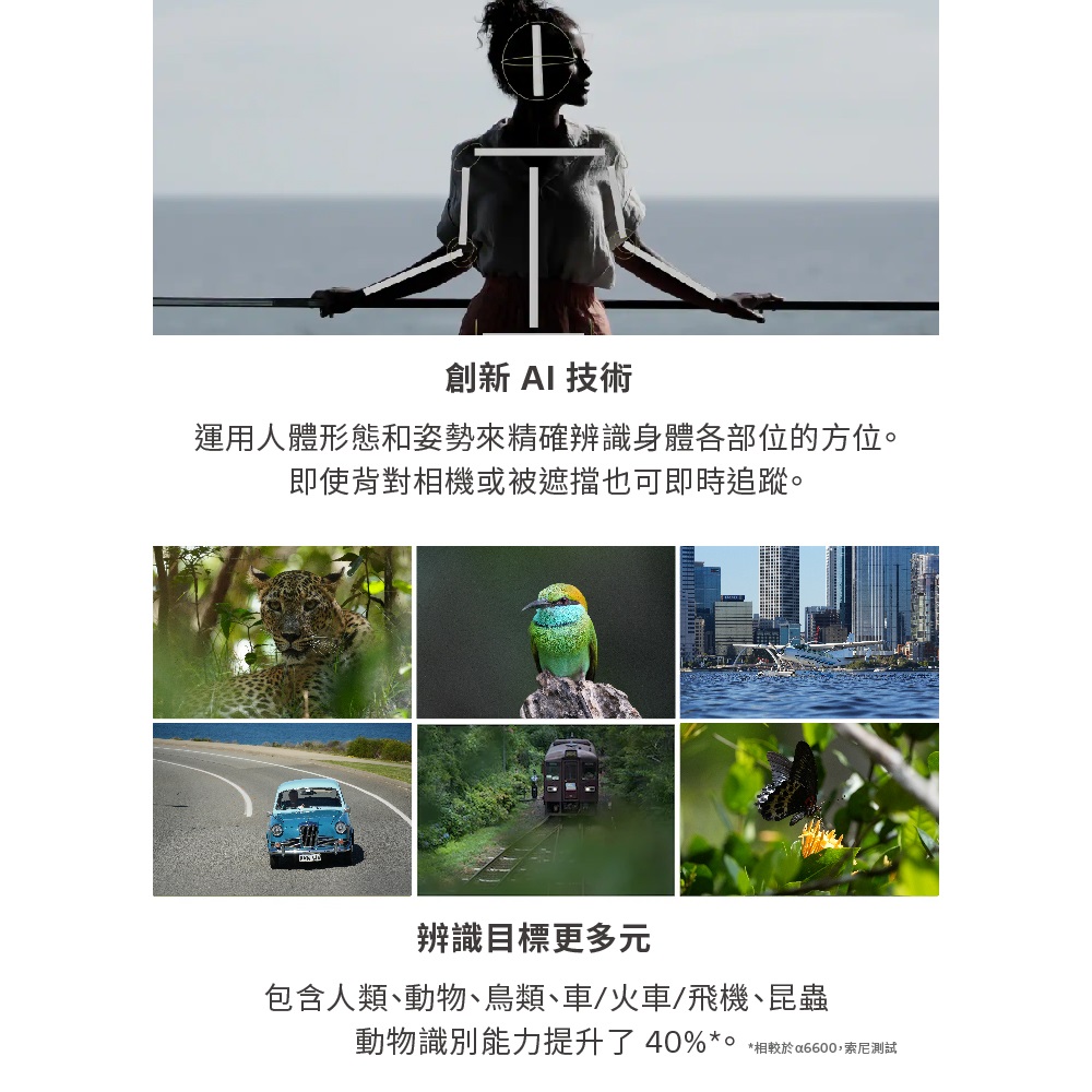 動物識別能力提升了40%o相較於a6600,索尼测试