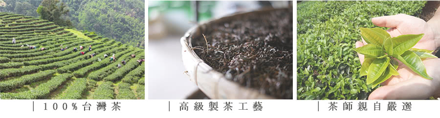 一手私藏世界紅茶 台灣茶禮盒｜台灣玉露綠茶-茶葉100公克X