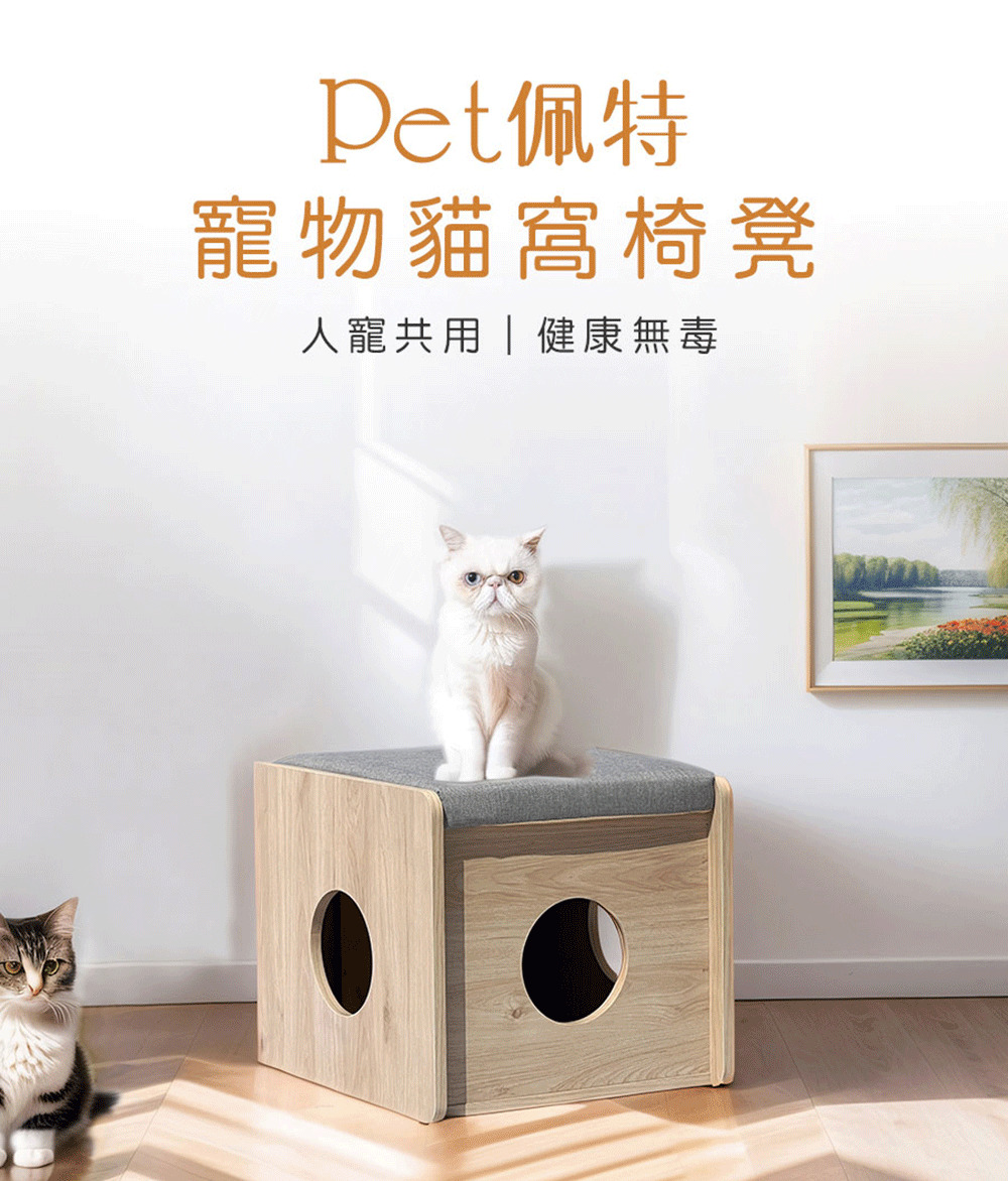 myhome8居家無限 Pet佩特寵物貓窩椅凳 含坐墊-人寵